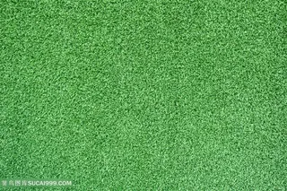 草地草坪高清图片