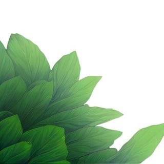 春天绿叶草丛免抠