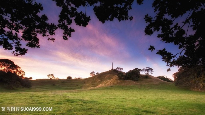 草地美景风景画壁纸