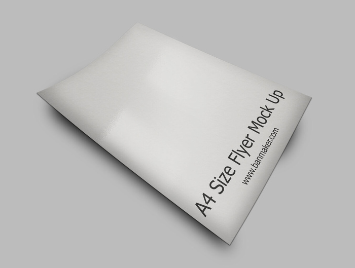 产品画册提案效果样机模板