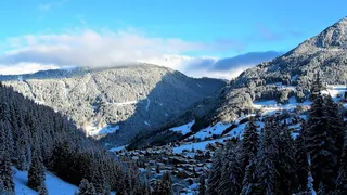 冬天自然背景风景