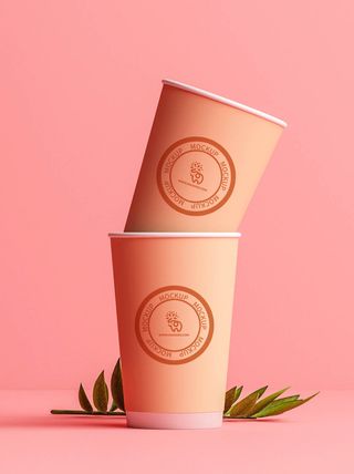 包装智能贴图样机VI效果PSD素材