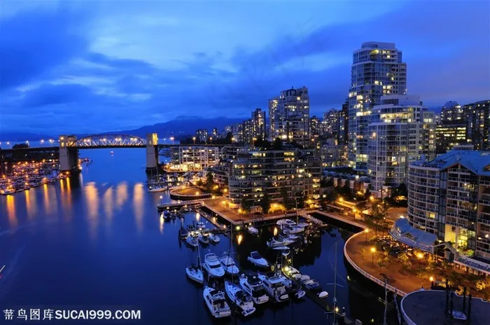 海边城市繁华都市夜景