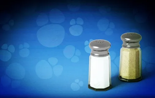 西餐常用调味料