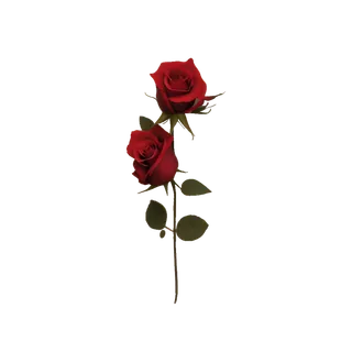 双只玫瑰免扣原创素材