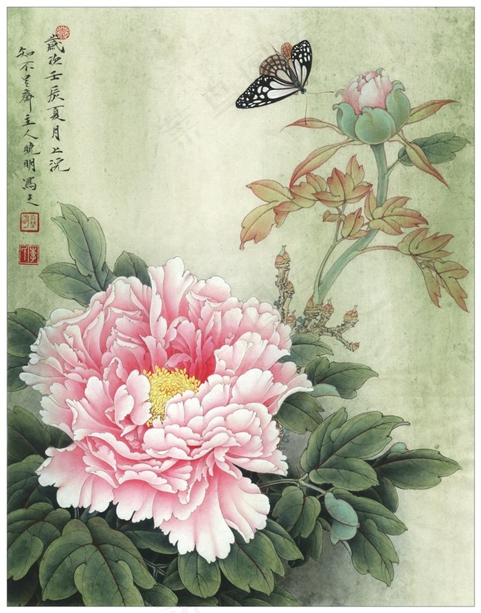 轻舞飞扬牡丹工笔画