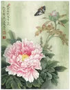 轻舞飞扬牡丹工笔画