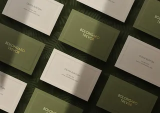 名片样机设计素材