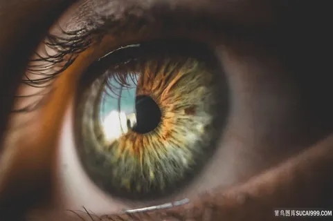眼睛虹膜特写