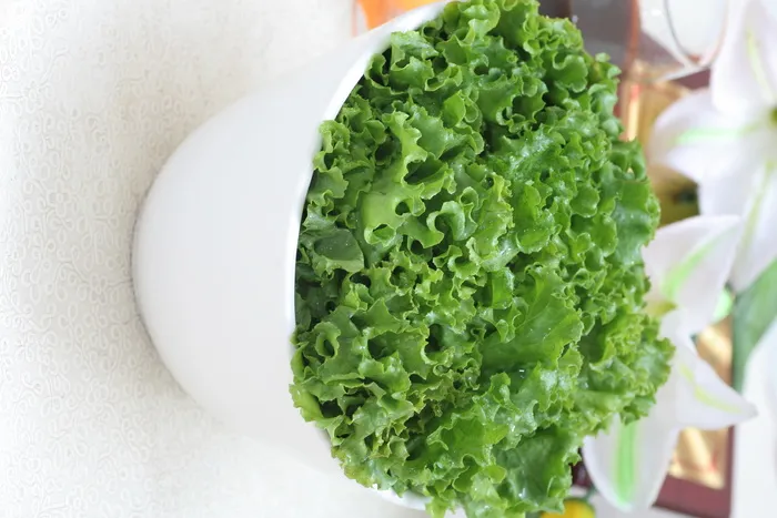 生菜 (2)