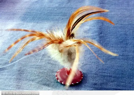 中国传统玩具-蓝布上的毽子