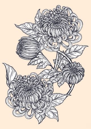 设计手绘菊花玄关