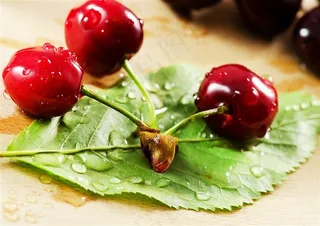 放在叶子上的带水珠的樱桃