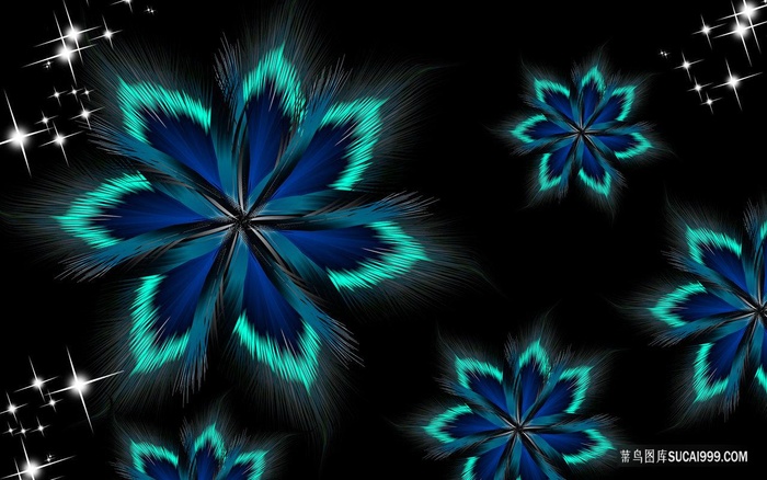 羽毛时尚花纹艺术装饰画
