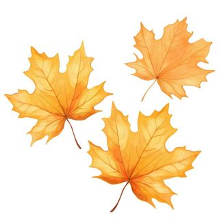 黄色的叶子免抠