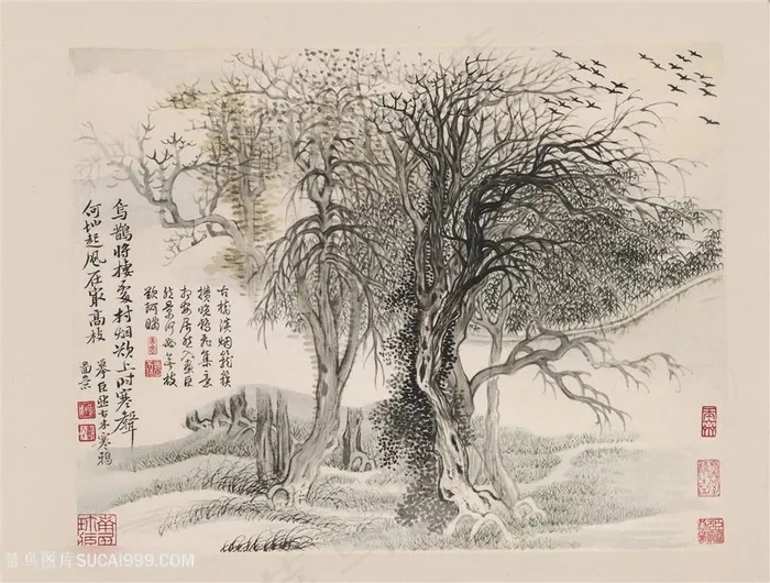 清代恽寿平作品山水花鸟图册之古木寒鸦国画图片