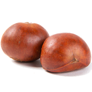 63板栗干果超市商品白底图免抠实物摄影png格式图片透明底