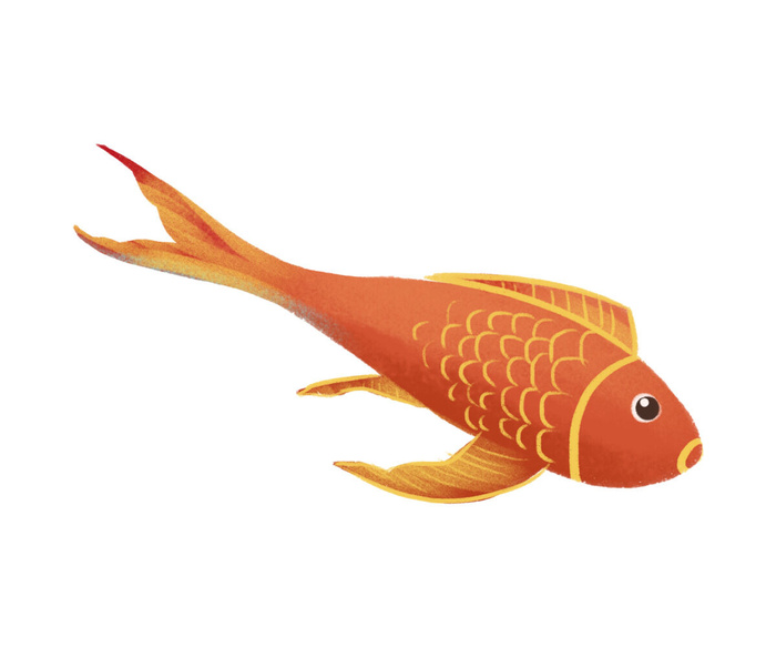 手绘烫金国潮中国风卡通锦鲤鱼金鱼插画装饰元素PSD设计素材