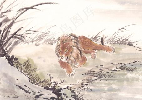 家禽绘画摄影图片