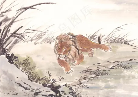 家禽绘画摄影图片