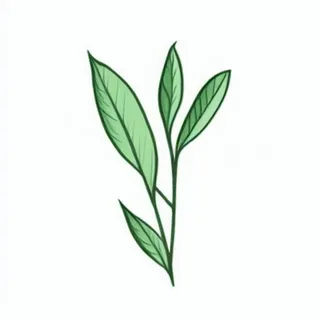 一小枝树叶png免抠