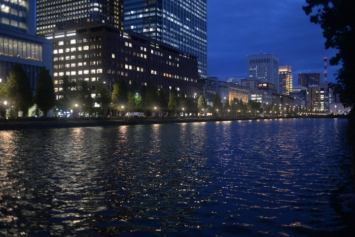 高清唯美城市夜景风景