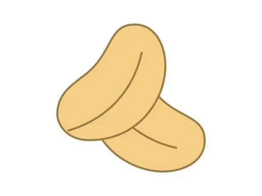 花生 PNG免抠(800x600)