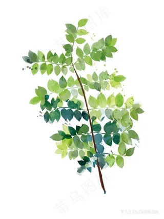 清新叶子树枝水彩装饰画