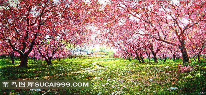 樱花林油画风景图片
