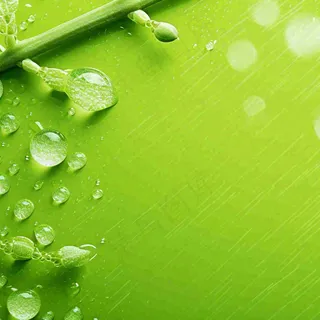 清新绿色春天绿芽叶子雨水露珠，春分谷雨摄影图