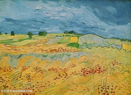 奥弗斯的文森特梵高风景画 奥弗斯的文森特梵高风景画
