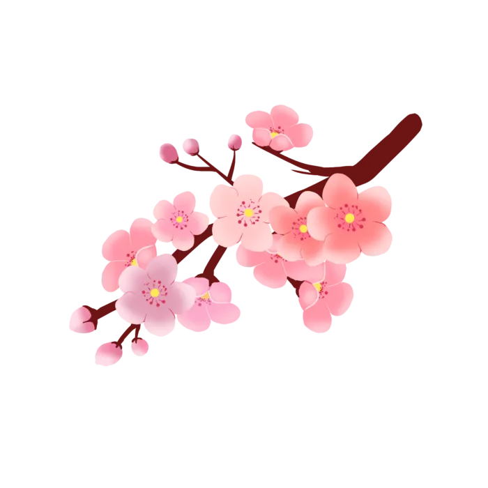 春天浪漫粉红色樱花手绘樱花梅花桃花花朵图片PNG免扣素材