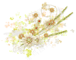 春天, 夏天, 花朵, 青菜, 蝴蝶