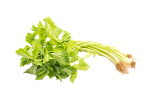 芹菜 (3)超市商品白底图免抠实物摄影png格式图片透明底
