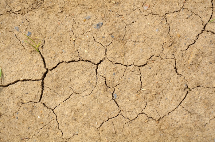 干旱土地干裂图片
