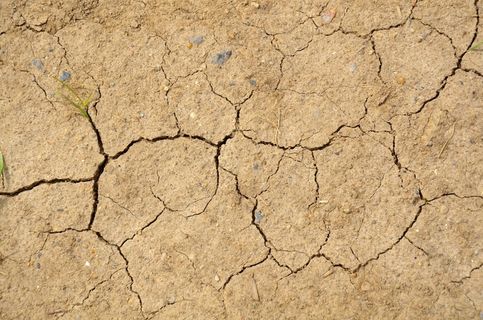 干旱土地干裂图片