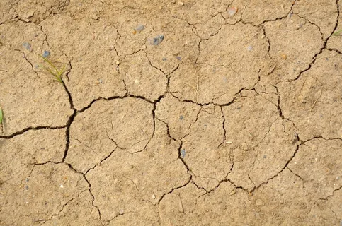干旱土地干裂图片