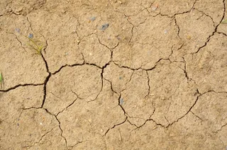 干旱土地干裂图片