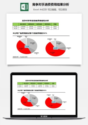 竞争对手消费费用结果分析excel模板