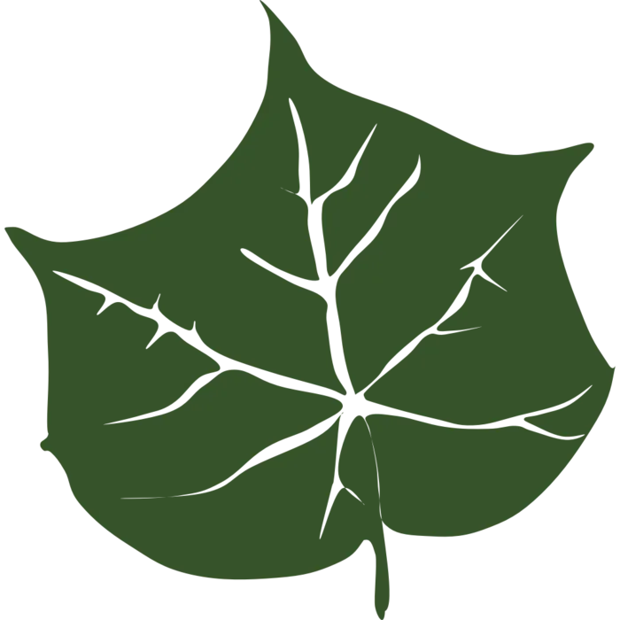 鹅掌树叶装饰元素