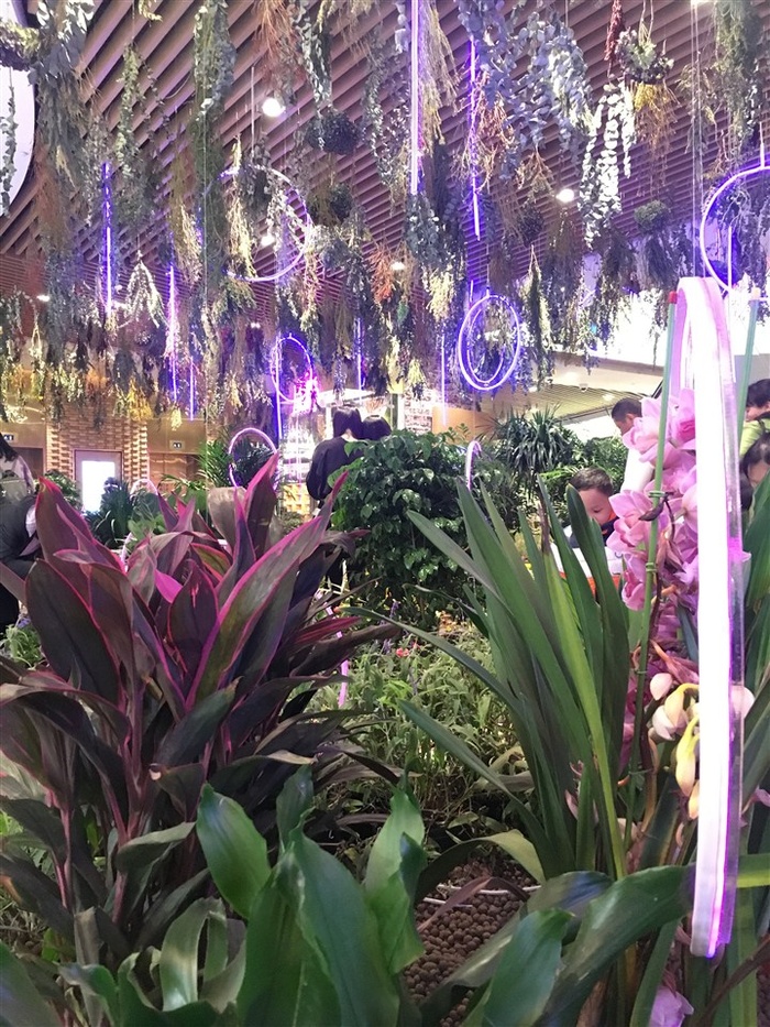 K11 圣诞主题花园