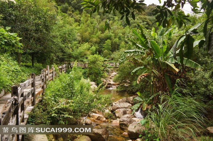 桥溪古韵山林溪涧美景