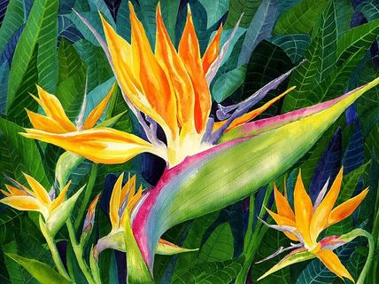 彩绘唯美花儿背景