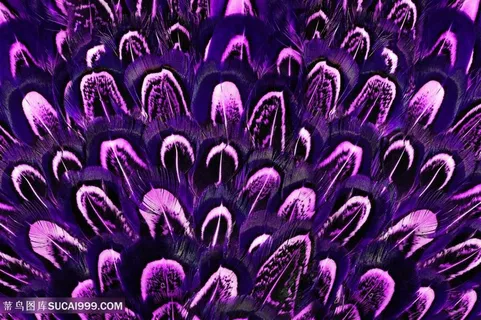 自然美景景色特写高清图片