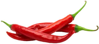 辣椒红色植物