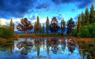 唯美树林的自然风景素材图片