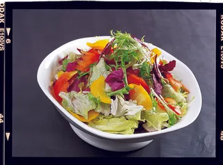 LCSC2600手撕钵钵菜20