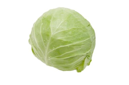 卷心菜 PNG免抠(600x400)