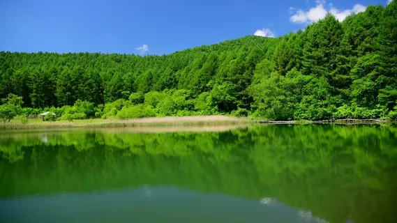  夏季海报 缤纷夏季 盛夏促销 盛夏海报 宣传页