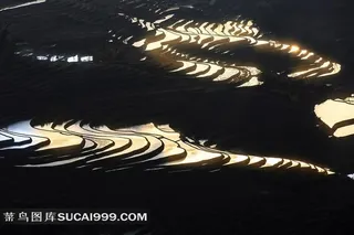 中国云南元阳梯田风景摄影图片